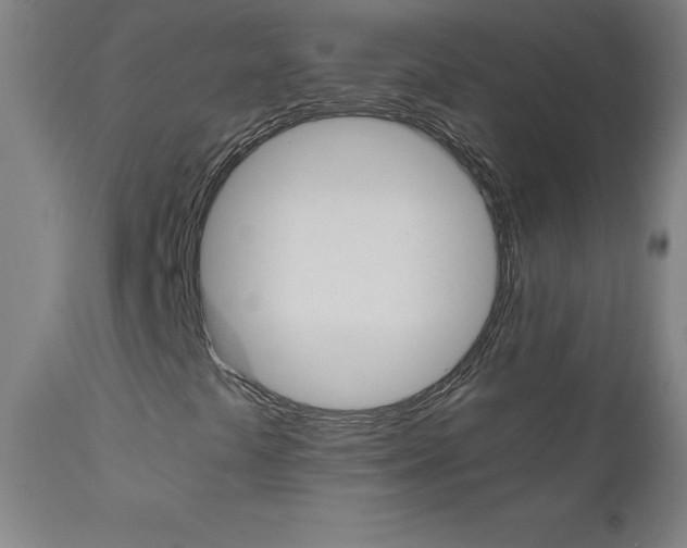X0000110951441200906191103
