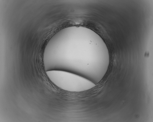 X0000110951442200906191103