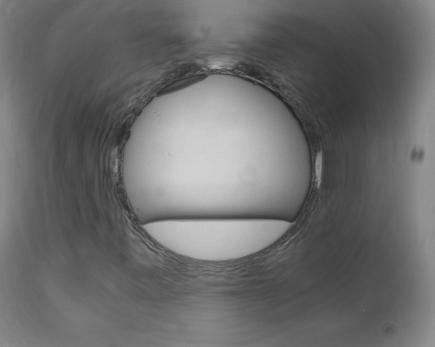 X0000110951443200906191103