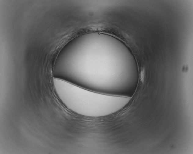 X0000110951444200906191103