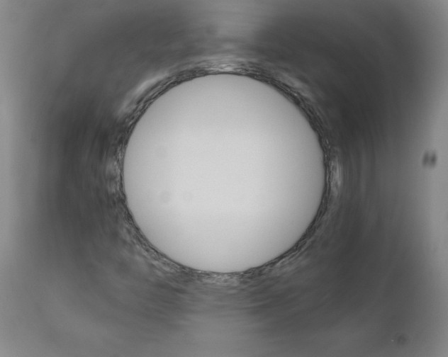 X0000110951446200906191103