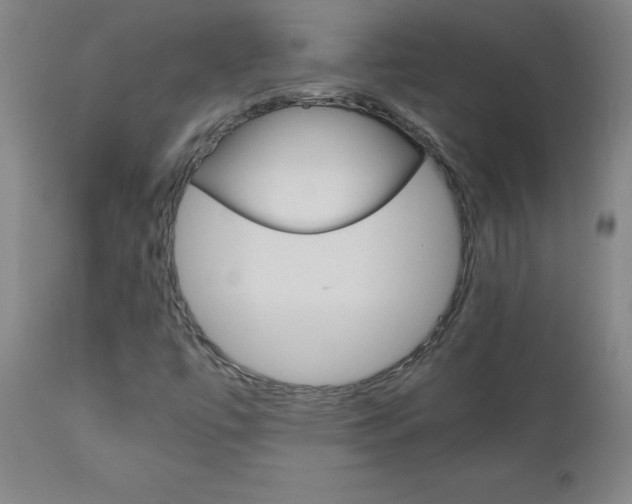 X0000110951447200906191103