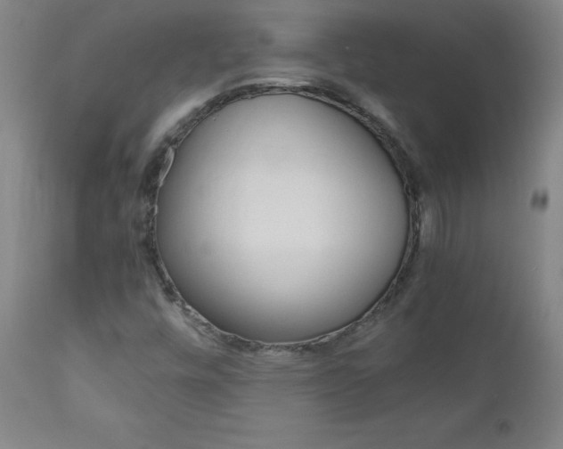 X0000110951448200906191103