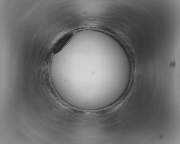 X0000110951449200906191103