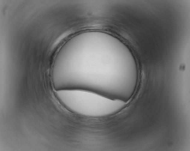 X0000110951450200906191103