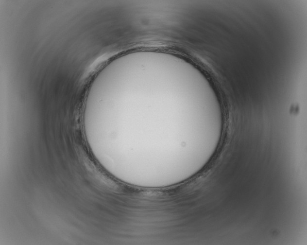 X0000110951451200906191103