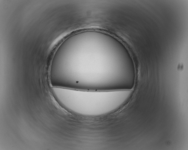 X0000110951452200906191103