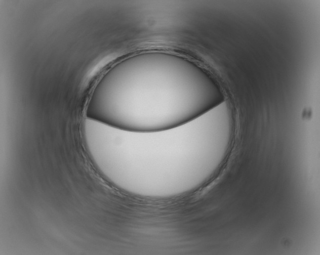 X0000110951453200906191103