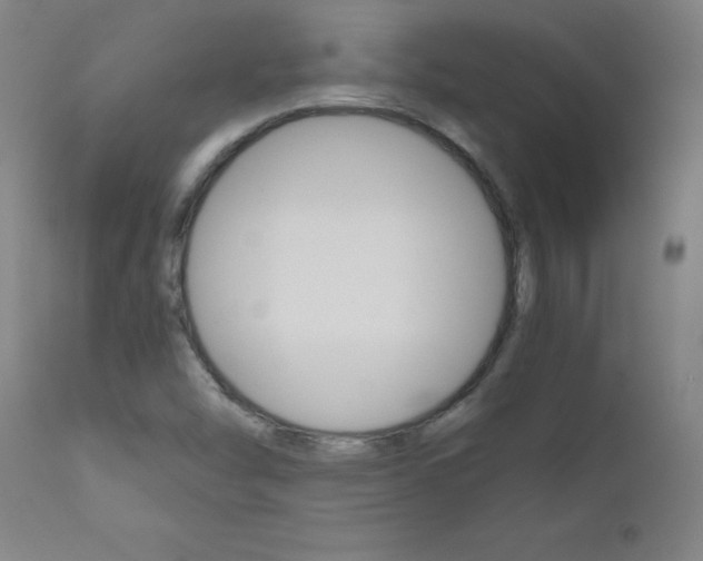 X0000110951454200906191103
