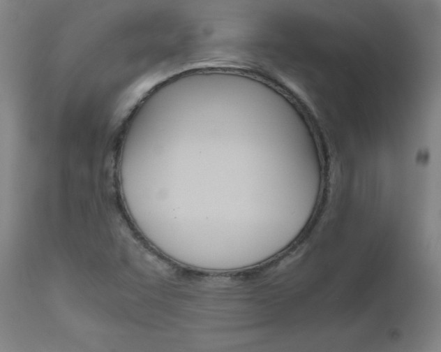 X0000110951455200906191103