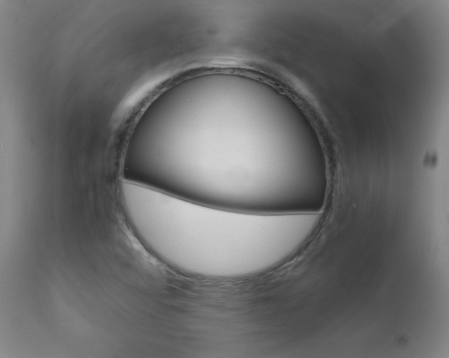 X0000110951456200906191103