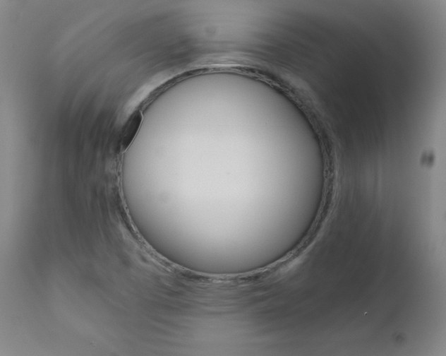 X0000110951457200906191103