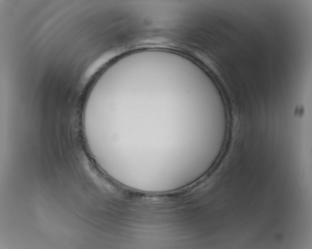 X0000110951458200906191103