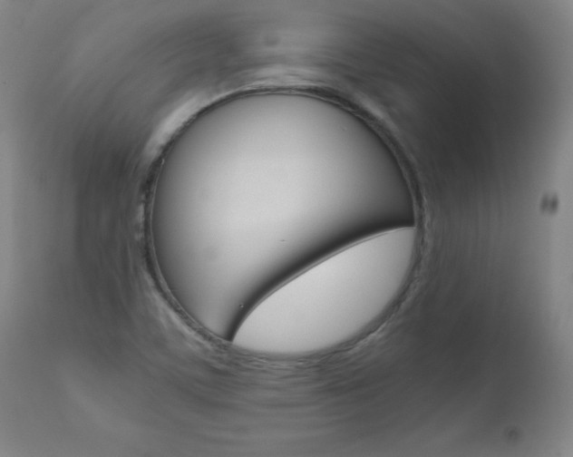 X0000110951459200906191103