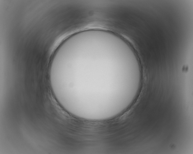 X0000110951461200906191103