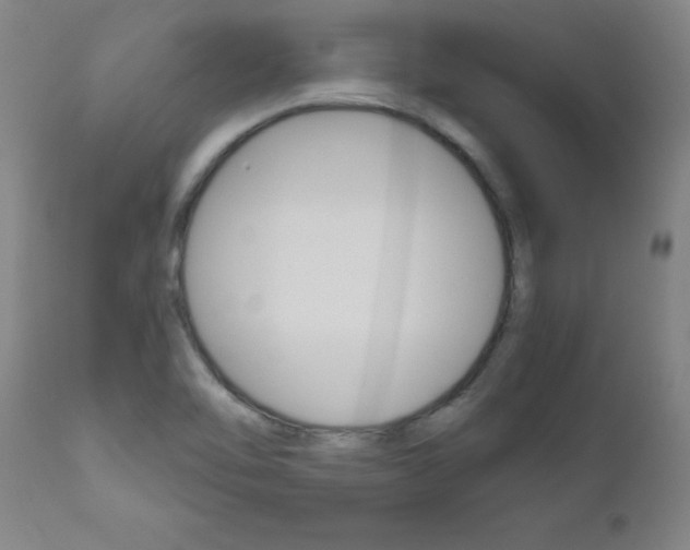 X0000110951462200906191103