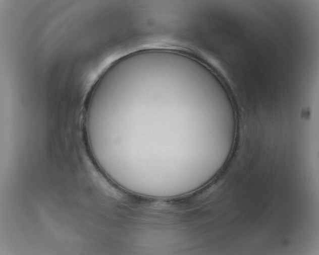 X0000110951463200906191103