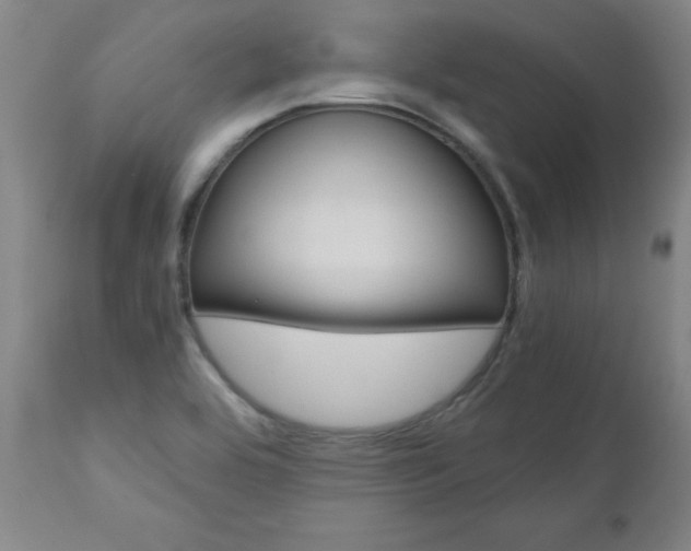 X0000110951464200906191103