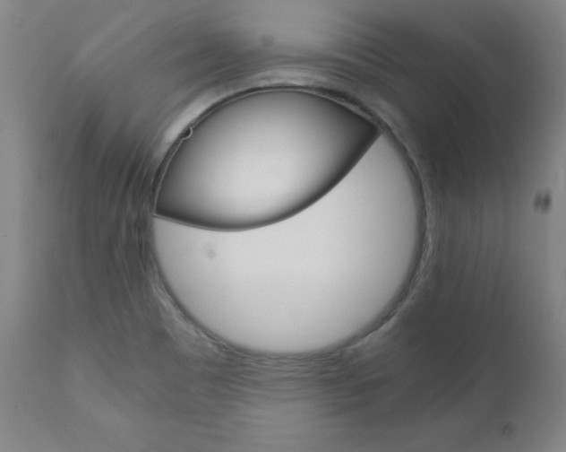 X0000110951465200906191103
