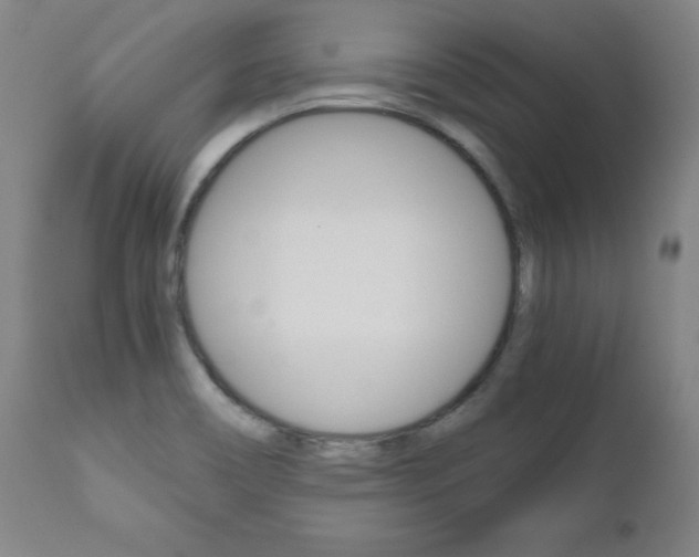 X0000110951466200906191103