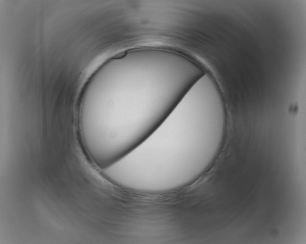 X0000110951467200906191103