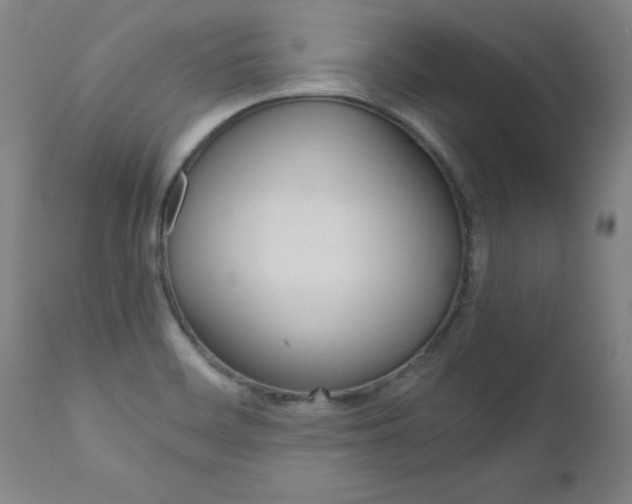 X0000110951468200906191103