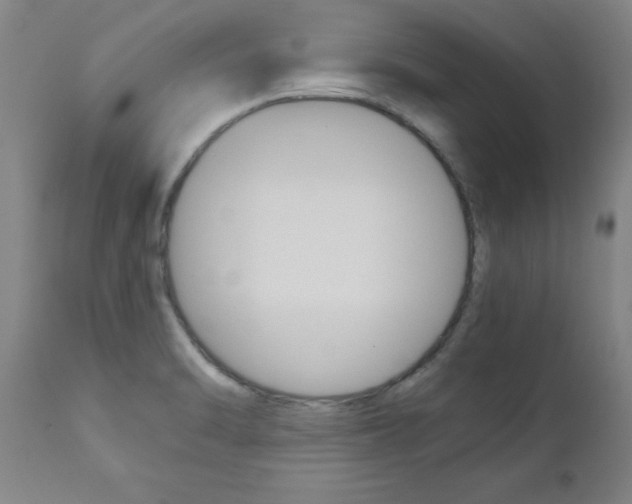 X0000110951470200906191103
