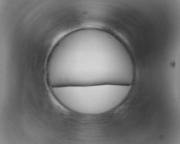 X0000110951471200906191103