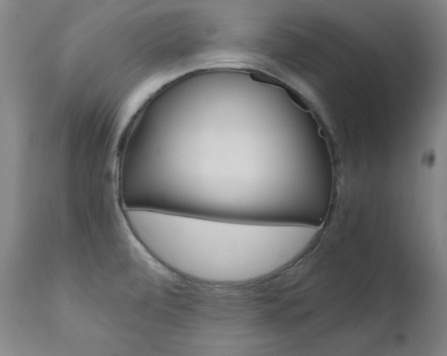 X0000110951472200906191103