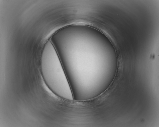 X0000110951476200906191103