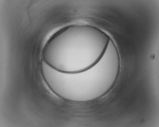 X0000110951477200906191102