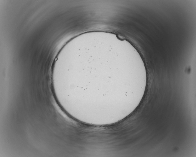 X0000110951479200906191102