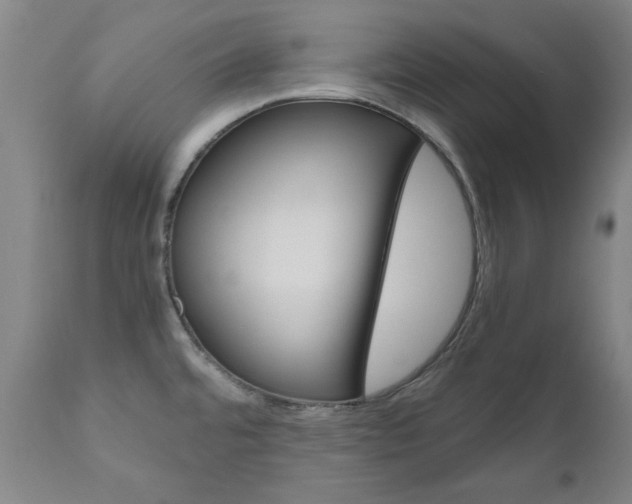 X0000110951480200906191102