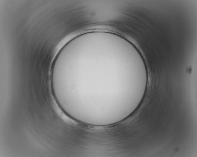X0000110951482200906191102