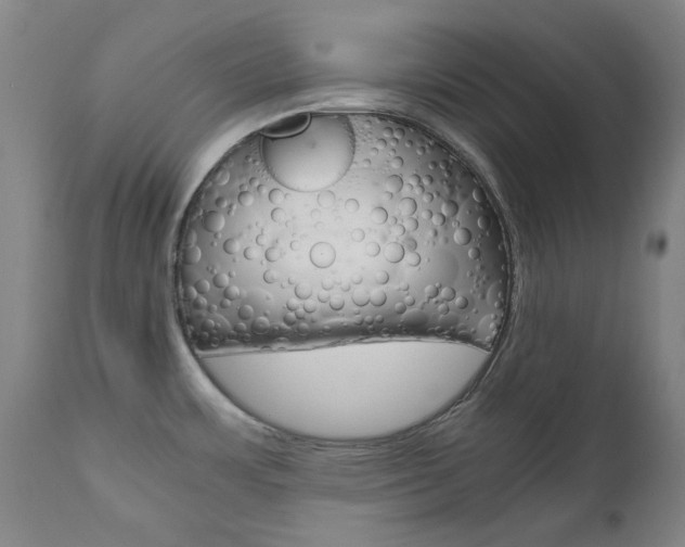 X0000110951483200906191102