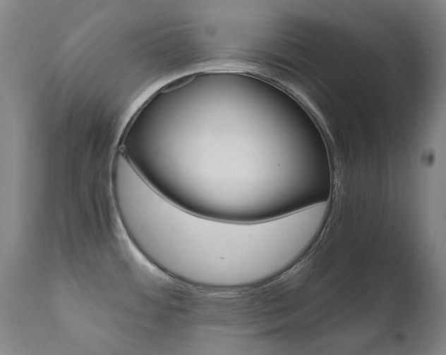 X0000110951484200906191102