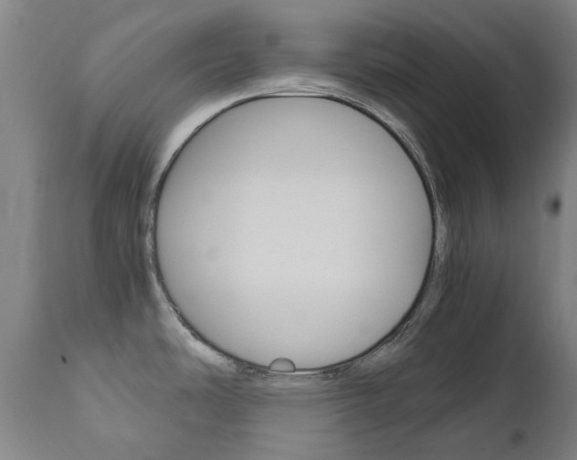 X0000110951486200906191102