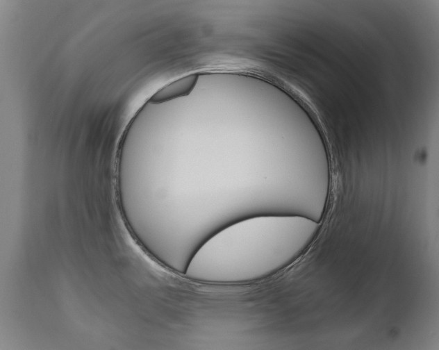 X0000110951487200906191102