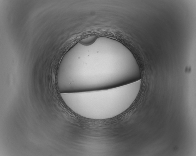 X0000110951489200906191101