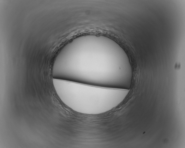 X0000110951490200906191101
