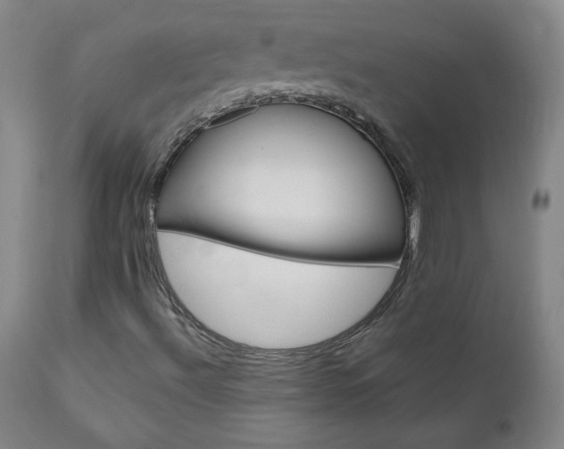 X0000110951492200906191101