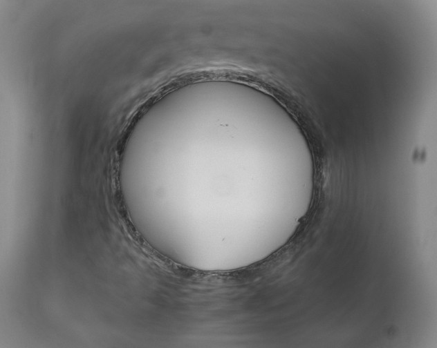 X0000110951493200906191101