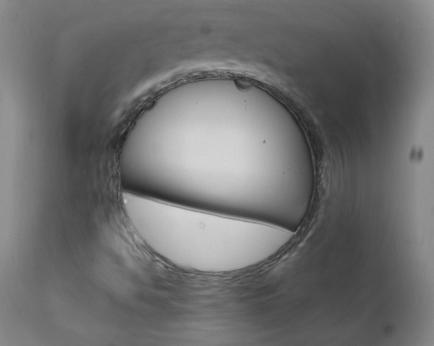 X0000110951494200906191101