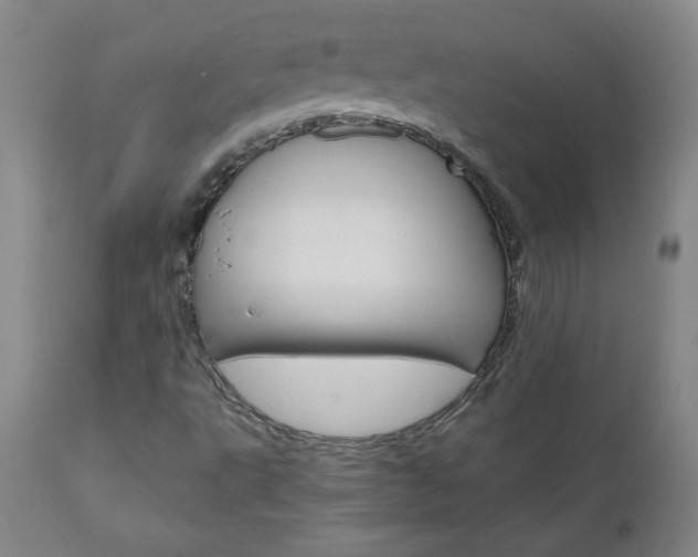 X0000110951495200906191101