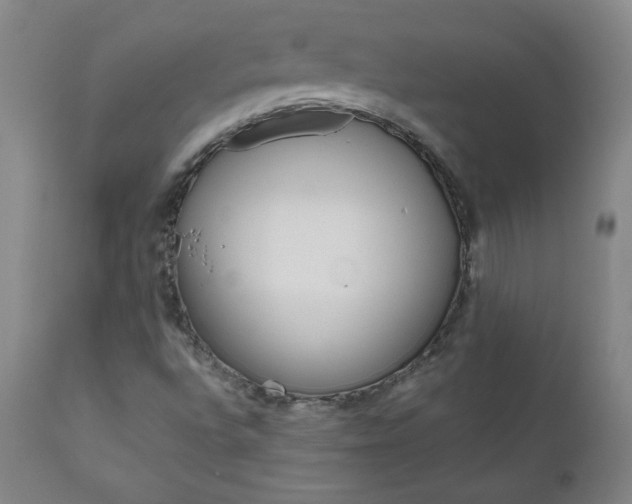 X0000110951496200906191101