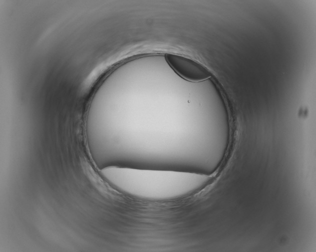 X0000110951499200906191101