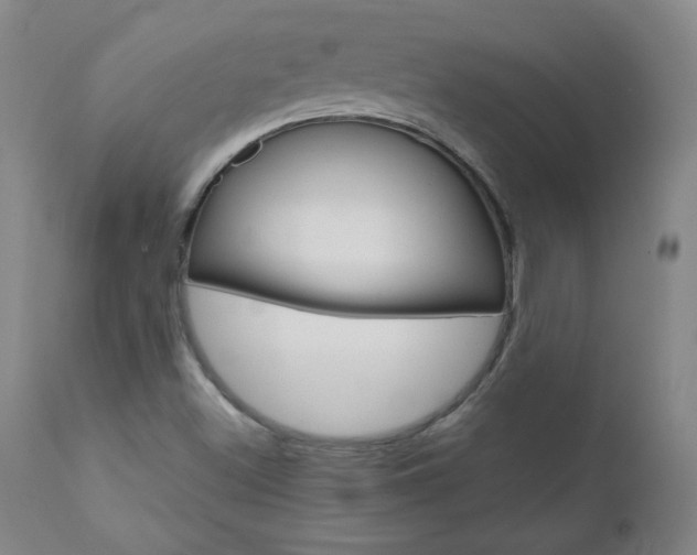 X0000110951500200906191101