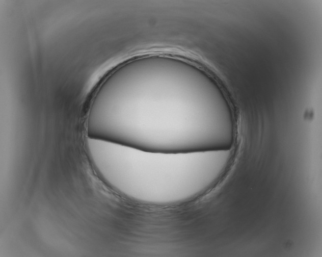 X0000110951501200906191102