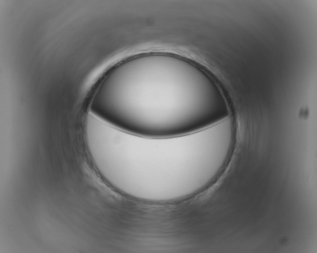 X0000110951502200906191102