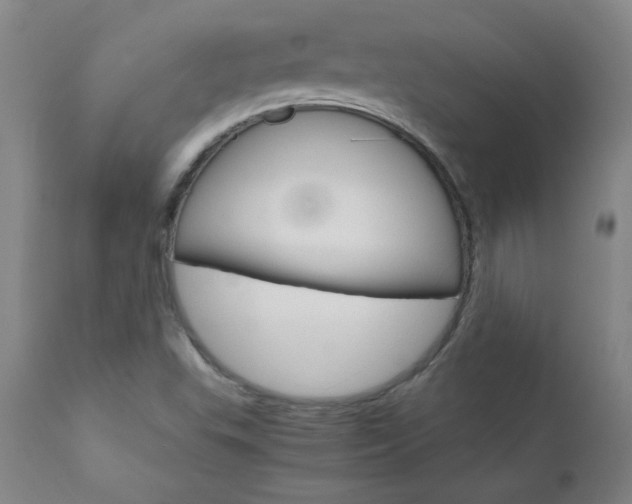 X0000110951503200906191102